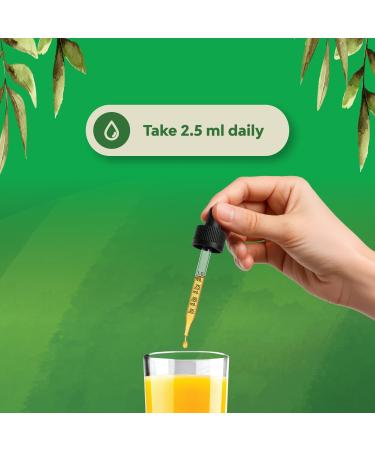 Kids DHA Omega 3 Drops - Fatty Acids Omega 3 6 9 for Brain Immune Strength & Vision - Nutritional DHA for Kids for Healthy Nervous System & Focus Support - Liquid Supplement with EPA & ALA - 2 Fl Oz Liquid 2 Fl Oz (Pack of  - Buy Online on GoSupps.com