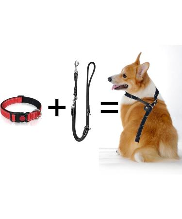 TRHIMLSBRAD Adjustable Dog Leash 2M x 10mm - Multifunctional Double Leash for Every Dog - Durable & Comfortable - Ideal for International Shipping - Buy Online on GoSupps.com