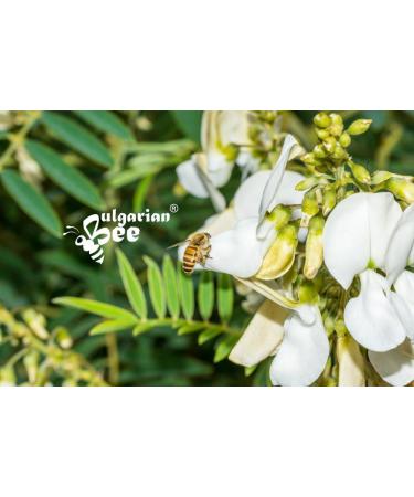 1 kg Organic Acacia Flower Honey - Buy Online on GoSupps.com