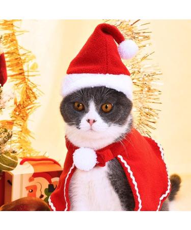 4PC Christmas Costume for Cats & Dogs | Santa Hat Scarf Antlers | Perfect Gift for Pets - Buy Online on GoSupps.com
