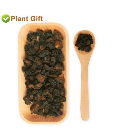 Raw Organic Wild Chagroom Tea Chunks 125g - 100% Natural Hand-Harvested Chaga Superfood (Inonotus Obliquus) for International Shipping - Buy Online on GoSupps.com