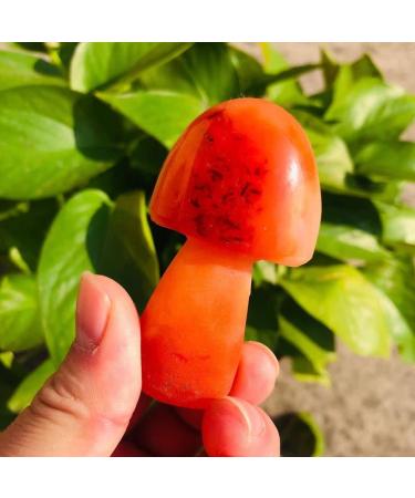 Natural Crystal Rough Crystals Stones 2 INCHES Natural Agate Quartz Carved Carnelian Crystal Mushroom Stone 1PC (Color : Light Grey Size : 10pc) 10pc Light Grey - Buy Online on GoSupps.com