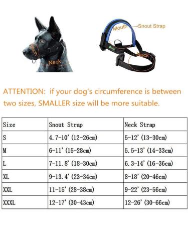 ILEPARK Adjustable Nylon Dog Muzzle - Prevent Biting Barking & Chewing - Size L Blue - International Shipping Available - Buy Online on GoSupps.com