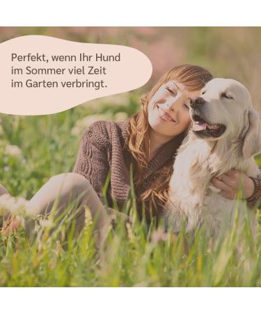 Amusi Neem l Tick Spray for Dogs 250ml | Natural Vegan Tick Protection Insect Spray - Paraben & Nickel Free - Buy Online on GoSupps.com