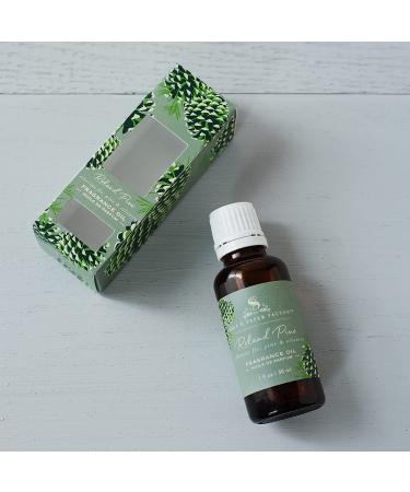 Soap & Paper Factory Roland Pine 1 oz Fragrance Oil - Premium Scent for Home & DIY Projects | International Shipping Available - Buy Online on GoSupps.com