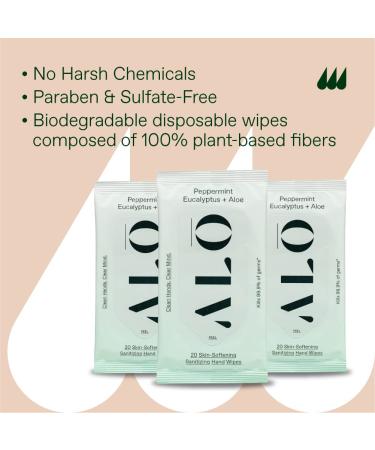 Peppermint Eucalyptus + Aloe Sanitizing Hand Wipes - 3 Pack 20ct Travel Size - On The Go Hand Sanitizer for Kids and Adults - Buy Online on GoSupps.com