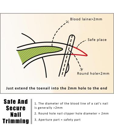 Tinkber 2-Pack Cat Nail Clippers - Stainless Steel Round Pet Nail Shears for Cats Puppies & Small Dogs - Blue & Orange - Buy Online on GoSupps.com