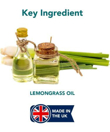 The Healthy Dog Co Spot On Flea and Tick Treatment for Dogs 100ml - Buy Online on GoSupps.com