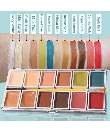 Shop Alcohol Activated Makeup Palette for FX Makeup - 12 Base Colors & Sponge Cleaning Accessories - Buy Online on GoSupps.com