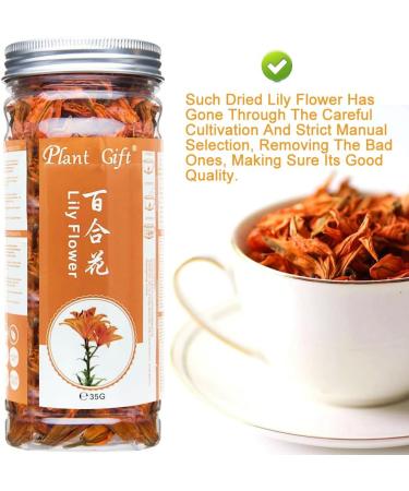 PlantGift Fragrant Natural Lily Flowers 35G/1.23oz Organic Dried Lilium Flowers Health Tea Chinese Lily Tea - Buy Online on GoSupps.com