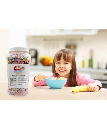 Sarah's Candy Factory Dehydrated Marshmallow Bits 1lb Jar - Assorted Flavors - Buy Online on GoSupps.com
