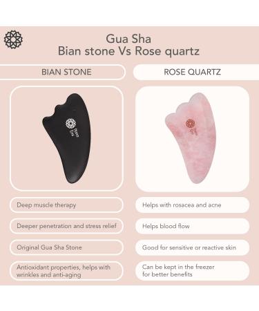 Large Gua Sha Massage Set - 4Pcs - Facial Stones for Skincare & Therapy - Scraping Tools with E-Book - Bian Stone Gu Sha - Buy Online on GoSupps.com