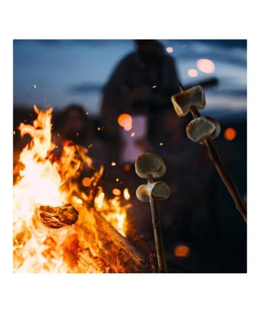 Mr. Mallo Super Barbecue Marshmallows - Pink & White Soft Candy (4x300g) | Perfect for Grilling & Campfires - Buy Online on GoSupps.com