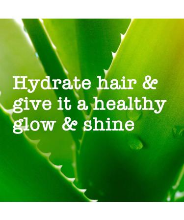 Maui Moisture Conditioner for Dry Hair | Coconut Milk & Aloe Vera | 385ml - Nourish & Hydrate Globally - Buy Online on GoSupps.com