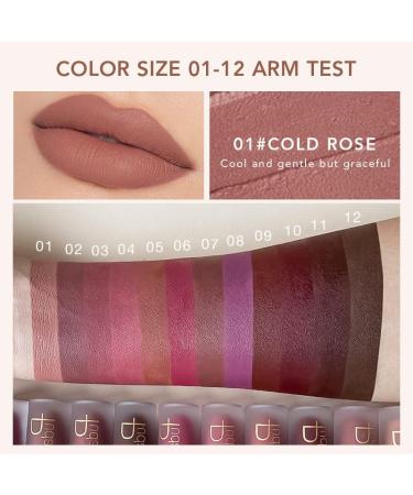 INTEROOKIE 24 Colors Matte Pearlescent Mist Face Non-Stick Cup Lip Glaze Liquid Lipstick Color (02) - Buy Online on GoSupps.com