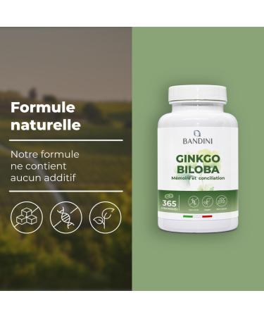 Bandini Ginkgo Biloba 6000mg 365 comprim s (1 an) 50:1 Extrait pur de Ginko Biloba avec Flavones Glycosides et Terp nes Lactones Compl ment alimentaire haute dose nootropique Sans OGM 100% Vegan - Buy Online on GoSupps.com