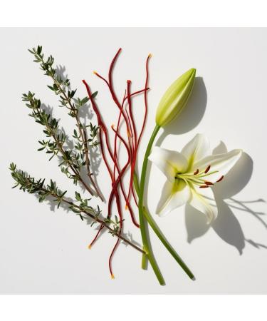 DIVAIN-636 - Inspired by White Suede - Perfume Impression for Woman - Musk Fragrance - Buy Online on GoSupps.com