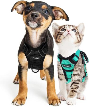 Breakproof Cat Dishes with Adjustable Vest Set for Small Kittens - Reflective Stripes - Green XXS - Buy Online on GoSupps.com