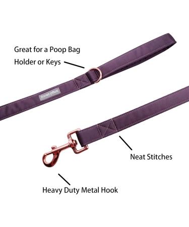 Lionet Paws Dog Leash - Premium Silk Leash for Small Medium & Large Dogs | Matching Collars in Purple for Boys & Girls - Durable & Stylish (Pack of 1) - Buy Online on GoSupps.com