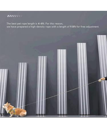 10FT Fluorescent Retractable Leash for Small Dogs/Cats - Strong Nylon Tape - Up to 33lbs - Fluorescent Yellow - Buy Online on GoSupps.com