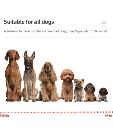 Classic Dog Collars - Waterproof Nylon Breathable Easy to Handle for All Sizes - Shop Now! - Buy Online on GoSupps.com