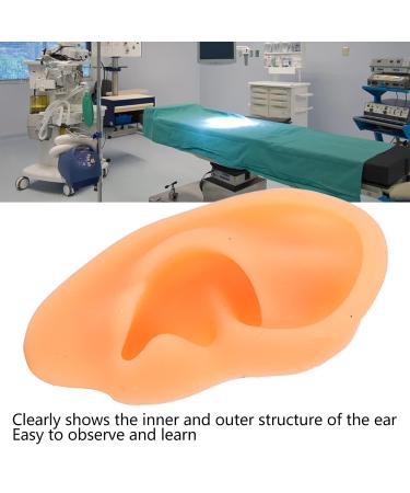 Soft Lifelike Silicone Flexible Left Ear Display Mould for Hospitals - Buy Online on GoSupps.com