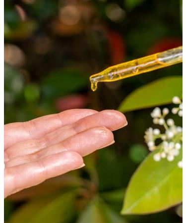 USDA Organic Rosehip Oil for Face - Unrefined & Cold Pressed Essential Oil - 100% Pure Nourishment for Skin & Hair - 1 Oz - Buy Online on GoSupps.com