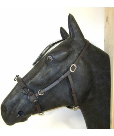 Buy PS Horse French Cavesson Cavecon with D-Rings - Soft Full Brown with Gold Fittings | International Shipping Available - Buy Online on GoSupps.com