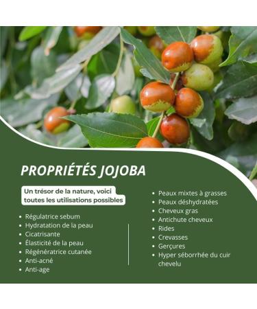 JOJOBA OIL 100% ORGANIC Pure and Natural Cold Pressed Extra Virgin - Nourishing Skin Care Face Hair & Beard Vegan (50ml) - Buy Online on GoSupps.com