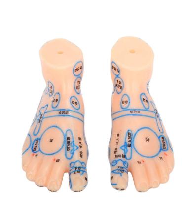 Foot Acupuncture Model 13 cm 1 pair waterproof foot acupuncture teaching tool ideal teaching model for acupuncturists students