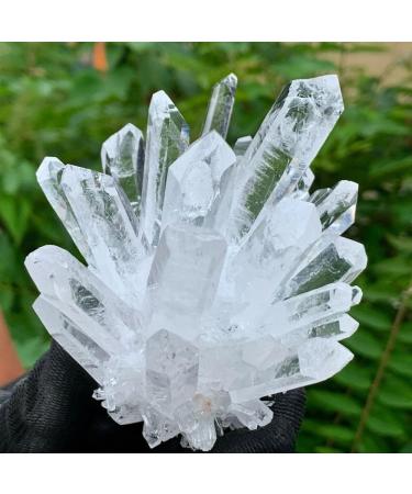 Natural Crystal Rough Natural White Clear Rock Quartz Crystal Clusters Specimen Stone Mineral Specimen - Buy Online on GoSupps.com