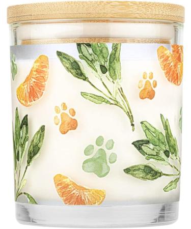 One Fur All Pet House Candle - Mandarin Sage - 100% Plant-Based Wax Candle - Pet Odor Eliminator for Home - Non-Toxic & Eco-Friendly Air Freshening Scented Candles - Buy Online on GoSupps.com