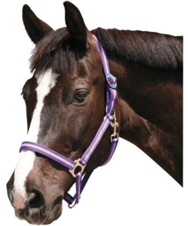 Buy Kerbl Nylon Halter Hippo - Adjustable Nylon Halters for Pony Shetty Full and XFull in 6 Colors - Durable Large Navy/Light Blue Options - Buy Online on GoSupps.com