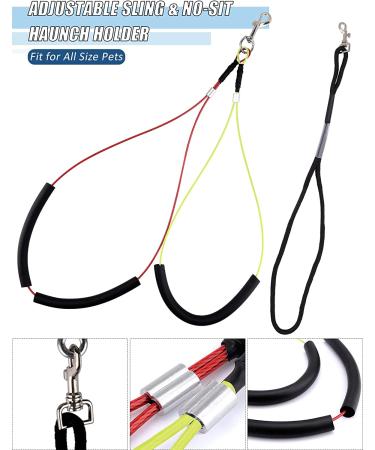 Kalolary Pet Grooming Arm with Clamp | Adjustable 33 Inch Height | No Sit Haunch Holder | Dog Grooming Loop Noose | Ideal for Medium & Small Dogs - Buy Online on GoSupps.com