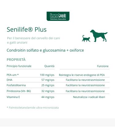 Senilife Plus for the well-being of the brain of older dogs and cats improves cognitive functions and memory for successful brain aging 60 single-dose capsules - Buy Online on GoSupps.com