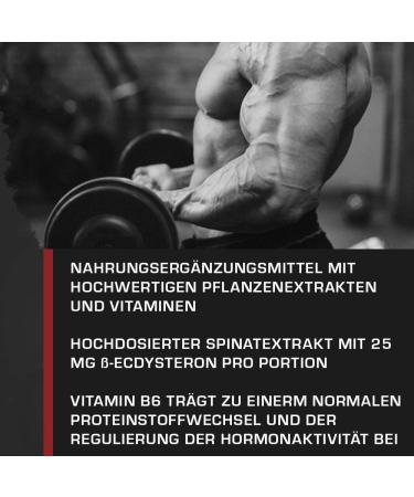 Weider Beta-Ecdysteron Capsules - Premium Muscle Building Supplement with Diosgenin & Gamma Oryzanol - High Dose 150 Capsules (1 Pack) - Buy Online on GoSupps.com