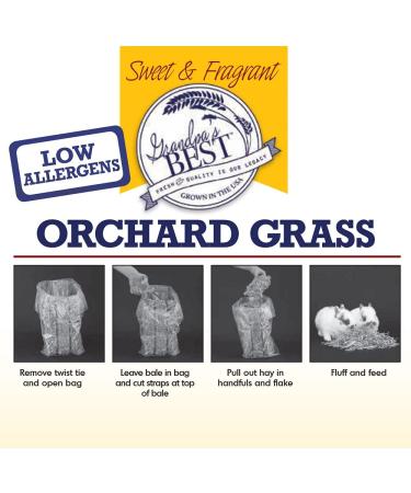 Grandpa's Best Orchard Grass Bale 10lb - Premium Quality Hay for Small Animals - Buy Online on GoSupps.com