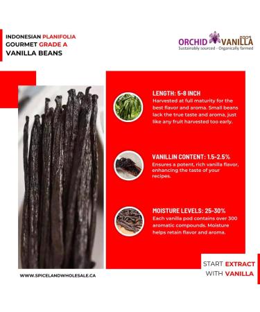 Indonesian Vanilla Beans Gourmet Grade-A For Extract And Baking By Weight (1 Lb (Pack of 1)) - Buy Online on GoSupps.com