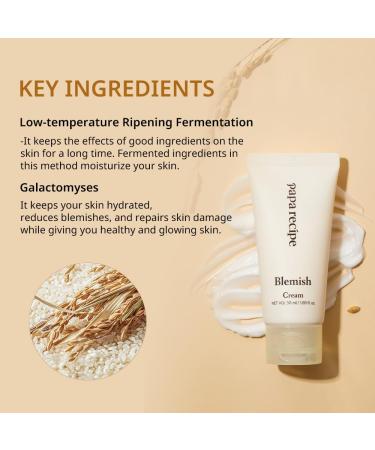 Papa Recipe Panthenol Skin Balancing Cream 50ml with Galactomyces and Niacinamide Korean Skincare (1.69 fl. oz.) - Buy Online on GoSupps.com