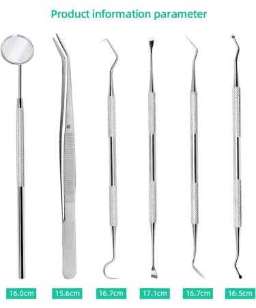 AP.DISHU 6-Piece Tooth Cleaning Set - Premium Stainless Steel Tartar Remover Dental Probe Scaler & Anti-Fog Mirror | Ships Internationally - Buy Online on GoSupps.com