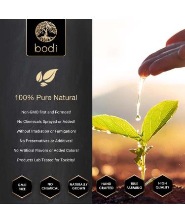 Bodi Bromelain 100gdu Pineapple Extract Powder | Pure Natural Chemical-Free | 4oz Size - Buy Online on GoSupps.com