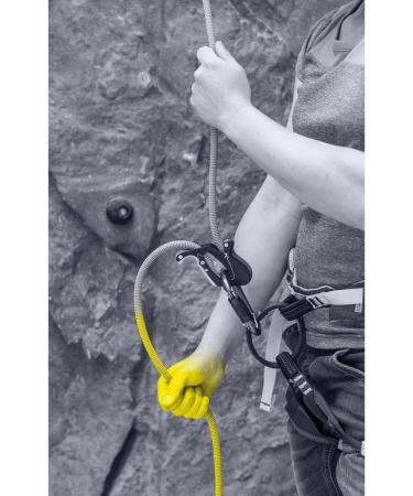 Salewa Unisex ERGO Belay System - Adult Night Color One Size EU UNI | Premium Climbing Gear for Safety - Buy Online on GoSupps.com