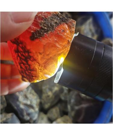 50-500g Natural Amber raw Stone Crystal Rough Rock specimens Home Decor (Size : About 100g) - Buy Online on GoSupps.com