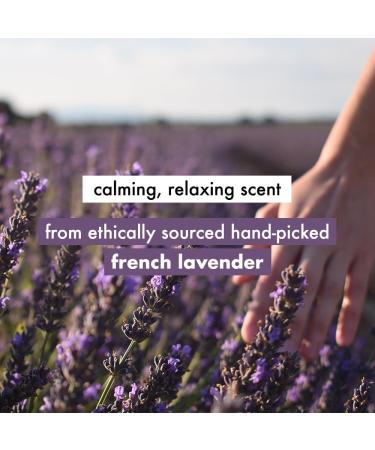 Lov.e Bea'uty & Planet Argan Oil and Lavender Sulfate Free Smooth and Serene Shampoo|| No Parabens|| No Dyes|| 400ml - Buy Online on GoSupps.com