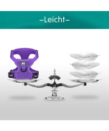 POPOTET Soft Breathable Mesh Dog Harness - Adjustable Double Padded Vest - Suffocation-Free - Violet Medium (1 Pack) - Buy Online on GoSupps.com