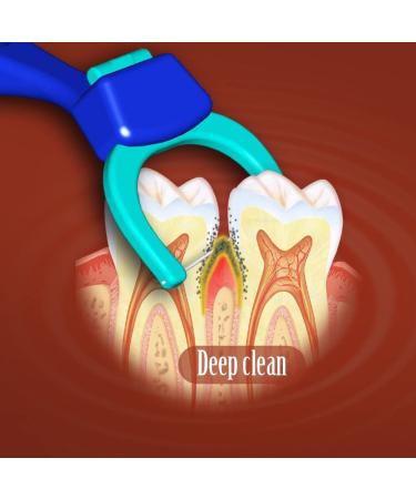 Smile Evolutionary Clean Dental Flossers Kit - 1 Mid-Length Handle +100 Extra Strength Refills - Buy Online on GoSupps.com