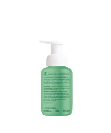 ATTITUDE Foaming Hand Soap EWG Verified Plant and Mineral-Based Ingredients Vegan and Cruelty-free Personal Care Products Green Apple & Basil 10 Fl Oz (Pack of 6) Green Apple & Basil 10 Fl Oz (Pack of 6) - Buy Online on GoSupps.com
