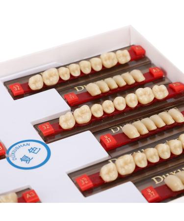 Art Resin Tooth Acrylic Resin Prosthesis - Professional DIY Dental Models & False Teeth Solutions - Buy Online on GoSupps.com
