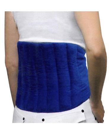 Grain pillow for the back