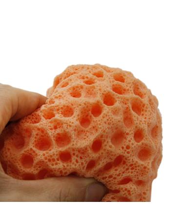 Artibetter Natural Sponge Set - Gentle Bath & Facial Exfoliator for Women Infants & Dishwashing - Konjac Body & Shower Sponges - Buy Online on GoSupps.com